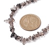 Natural Ice Obsidian Chip Beaded Necklace NJEW-JN04615-01-3
