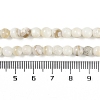 Natural Freshwater Shell Beads Strands BSHE-H109-03C-5
