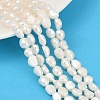 Natural Cultured Freshwater Pearl Beads Strands PEAR-P064-20A-04A-02-1