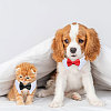 Globleland 2Pcs 2 Colors Cat Dog Cotton Bowknot Collars AJEW-GL0001-97-7