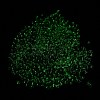 Luminous Glass Seed Beads X1-SEED-A033-07E-5