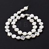 Natural Trochid Shell Beads Strands SSHEL-G023-09B-3