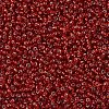 MIYUKI Round Rocailles Beads X-SEED-G007-RR0011-3