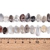 Natural Botswana Agate Beads Strands G-Z091-A30-5