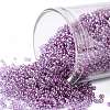 TOHO Round Seed Beads SEED-JPTR15-0205-1