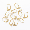 304 Stainless Steel Leverback Earring Findings STAS-H558-32G-1