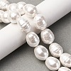 Electroplated Shell Pearl Beads Strands BSHE-H110-01-03-6