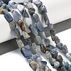 Natural Kyanite Beads Strands G-P497-01C-60-2