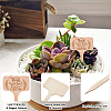 30Pcs Wooden Plant Labels DIY-GF0014-19A-5
