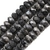 Natural Larvikite Beads Strands G-C259-A45-5x8mm-2