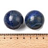 Dyed Natural Lapis Lazuli No Hole Sphere Beads G-I367-05-16-2