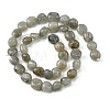 Natural Labradorite Beads Strands G-P623-A03-02-3