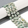 Natural Chrysocolla Beads Strands G-C116-A37-01-1