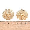 Brass Filigree Cabochons KK-CBACEE9-02A-KCG-3