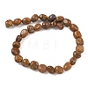 Natural Miriam Stone Beads Strands GG-CBA9392-02-5