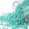 TOHO Round Seed Beads SEED-XTR11-0920-1