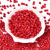 Opaque Baking Paint Glass Seed Beads SEED-T008-02K-2