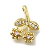 Brass Micro Pave Cubic Zirconia Pendants ZIRC-I070-067G-1