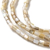 Natural Freshwater Shell Beads Strands X-SSHEL-B002-17-3