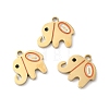 Ion Plating(IP) 316L Surgical Stainless Steel Charms STAS-H213-14G-3