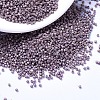 MIYUKI Delica Beads SEED-MY11-DB1064-1
