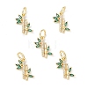 Rack Plating Brass Pave Cubic Zirconia Charms KK-G464-08G-4