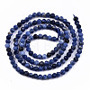 Natural Sodalite Beads Strands G-S362-070-2