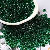 Transparent Colours Glass Seed Beads SEED-P006-02A-09-1