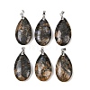 Natural Labradorite Pendants G-D084-01P-B07-2