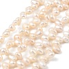 Natural Cultured Freshwater Pearl Beads Strands PEAR-I007-04A-02C-2