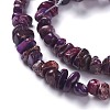 Natural Imperial Jasper Bead Strands G-P444-05H-3