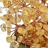 Heated Natural Citrine Chips Tree of Life Display Decorations GG-CBACC2B-02A-3
