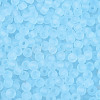 FGB Frosted Transparent Glass Seed Beads SEED-N013-02A-11-3