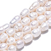 Natural Cultured Freshwater Pearl Beads Strands PEAR-N012-10C-3
