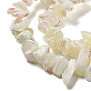 Natural Trochus Shell Beads Strands SSHEL-H072-04-3