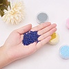  Glass Seed Beads SEED-PH0009-01-3