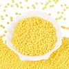 Opaque Glass Seed Beads SEED-N012-09A-03-2