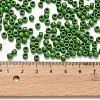 TOHO 6/0 Round Beads SEED-TR06-0047-3