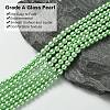 Grade A Glass Pearl Beads HY-J001-4mm-HX066-3