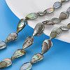 Natural Keshi Pearl Beads Strands PEAR-S021-019B-3