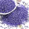 Baking Paint Silver Lined Glass Seed Beads SEED-H003-09G-1