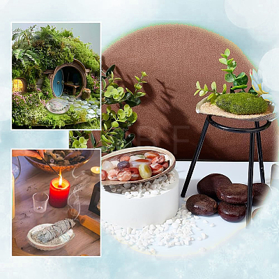 Natural Paua Shell Display Decorations DJEW-WH0042-147-1