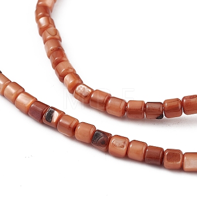 Natural Freshwater Shell Dyed Beads Strands X-SHEL-M018-14-02-1