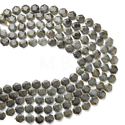 Natural Gray Labradorite Beads Strands G-L660-A02-01-1