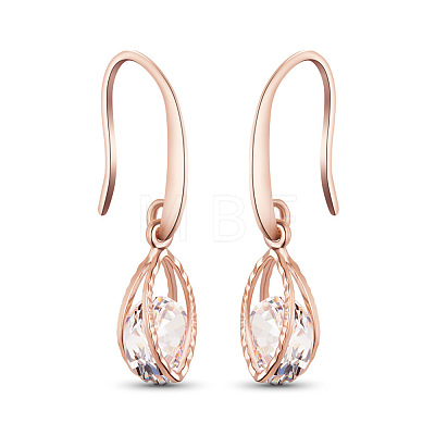 SHEGRACE Creative Design Rose Gold Plated Brass Hook Earrings JE99A-1