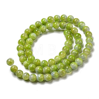 Dyed Natural Jade Beads Strands G-F764-01A-1