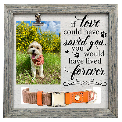 MDF Pet Photo Frames DIY-WH0525-004-1