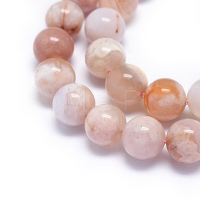 Natural Cherry Blossom Agate Beads Strands G-I249-B01-03-1