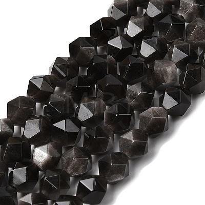 Natural Silver Obsidian Beads Strands G-Z119-A11-02-1