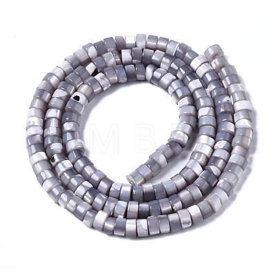 Natural Trochus Shell Beads Strands SHEL-S278-027J-1